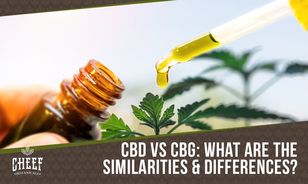 cbd vs cbg