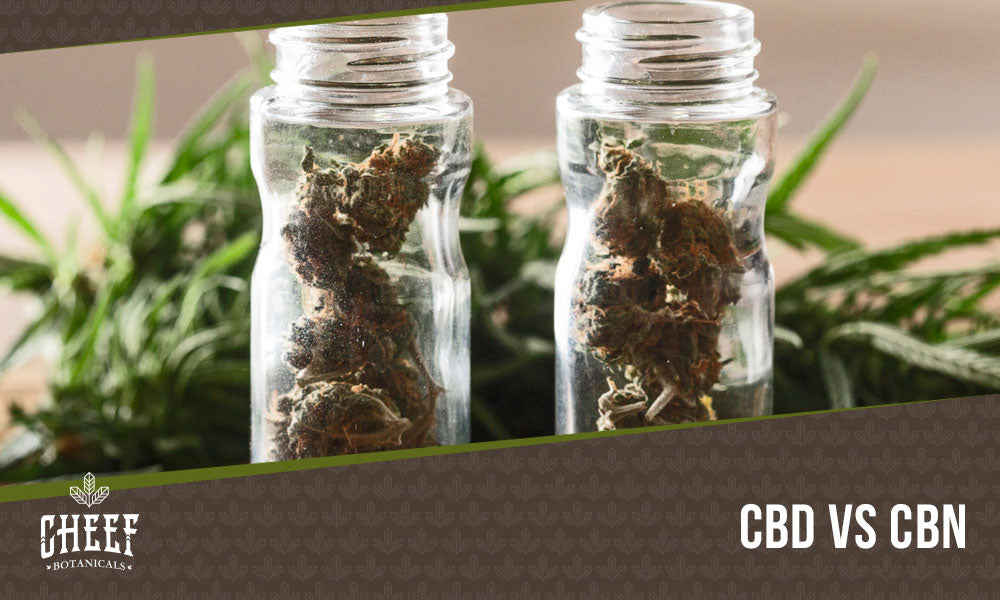 cbd vs cbn
