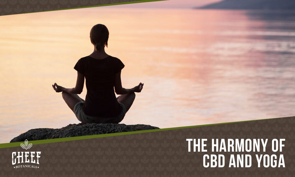 cbd yoga