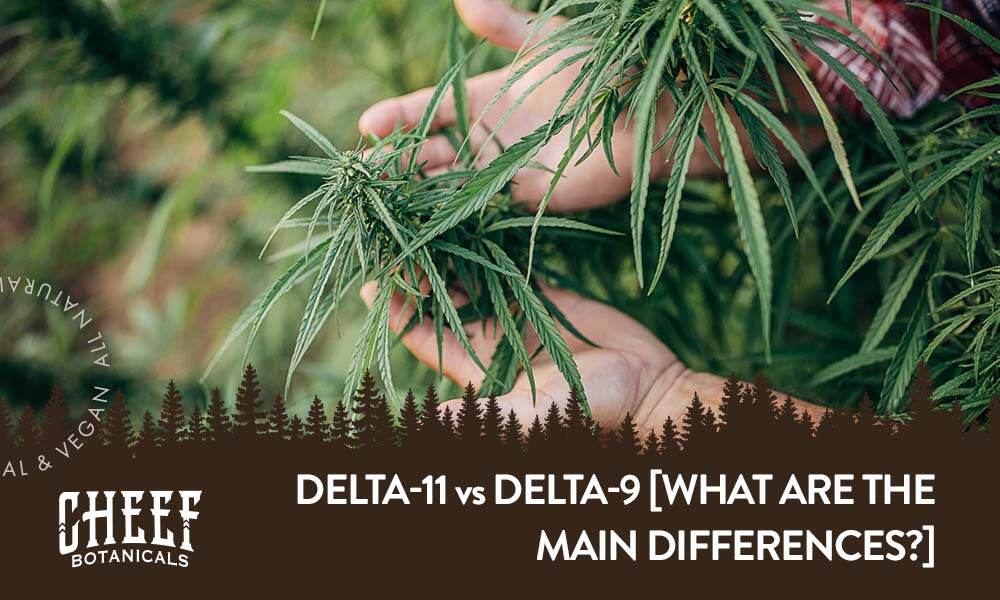 delta 11 vs delta 9