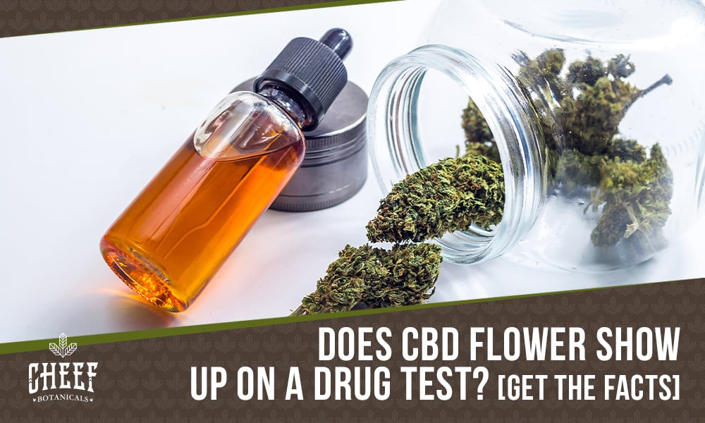 does CBD flower show up on a drug test (featured blog image by Cheef Botanicals) shows CBD flower in a glass jar and a bottle of CBD oil