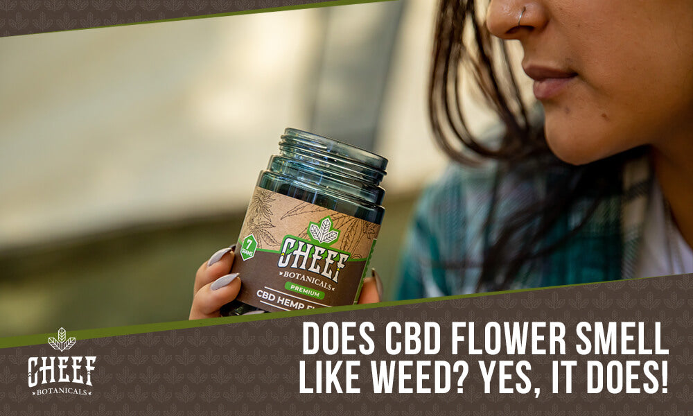 Does CBD Flower Smell Like Weed (featured blog image by Cheef Botanicals) shows a woman smelling a container of CBD flower