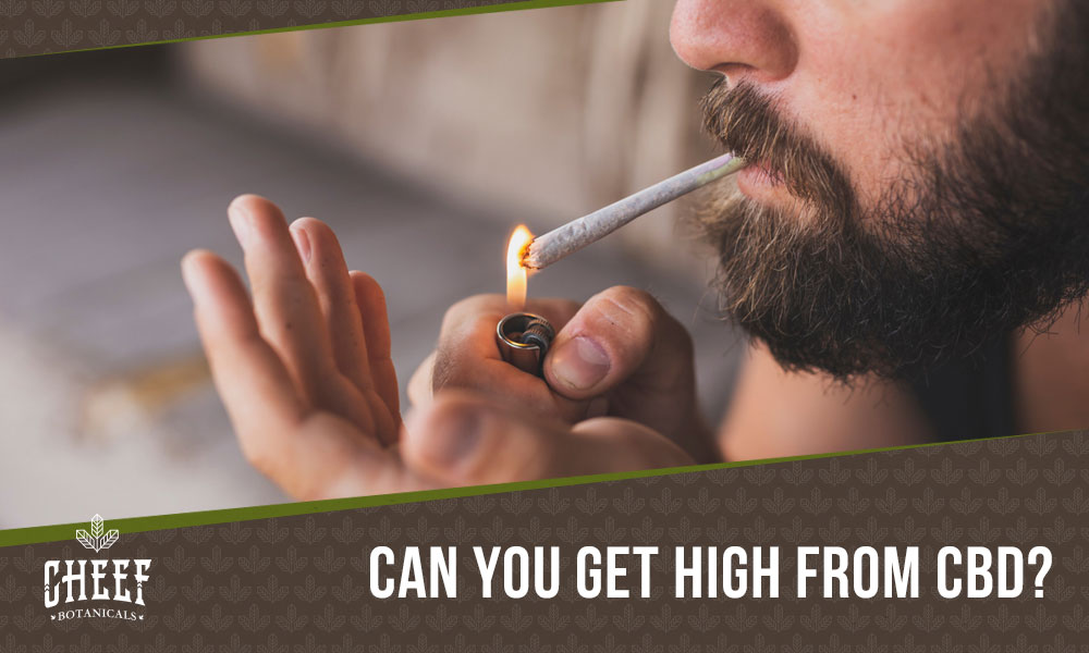 Featured blog image by Cheef Botanical showing a man lighting a cannabis roll with the text “Can You Get High From CBD?” highlighting does cbd get you high.