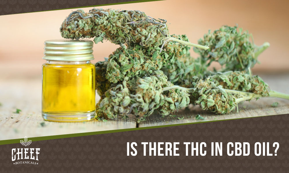 does cbd oil have thc (featured blog image by Cheef Botanicals) shows a bottle of CBD oil and cannabis buds