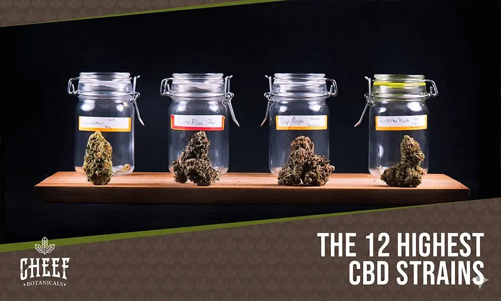 Top 12 High CBD Strains (featured blog image by Cheef Botanicals) shows 4 strains each in front of a labeled jar.