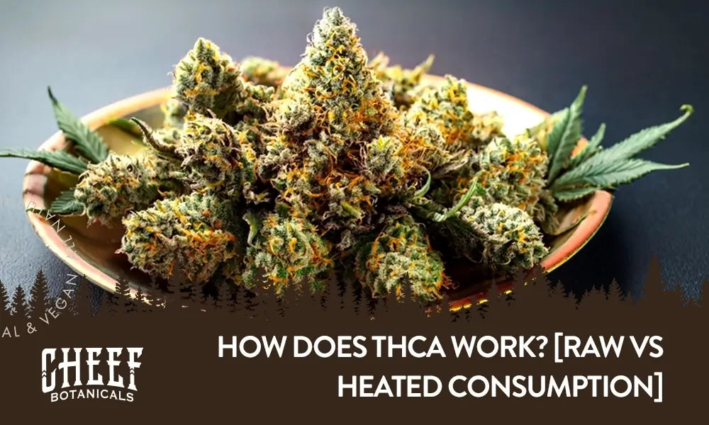 How does THCa work featured blog image by Cheef Botanicals. Shows a plate full of cured THCa buds.
