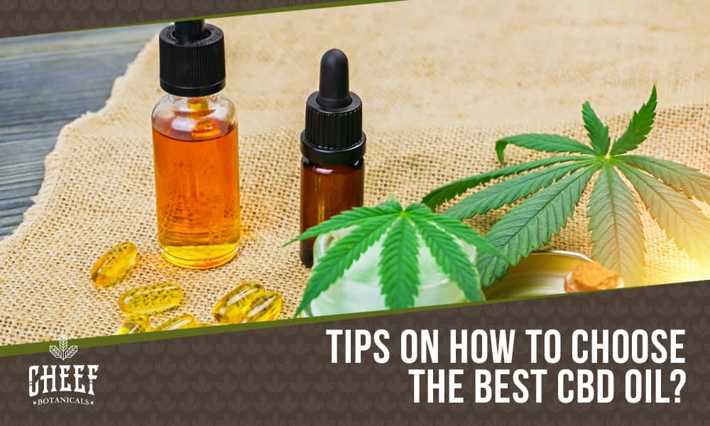 how to choose cbd oil (featured blog image by Cheef Botanicals) shows CBD products and cannabis leaves on a tabletop