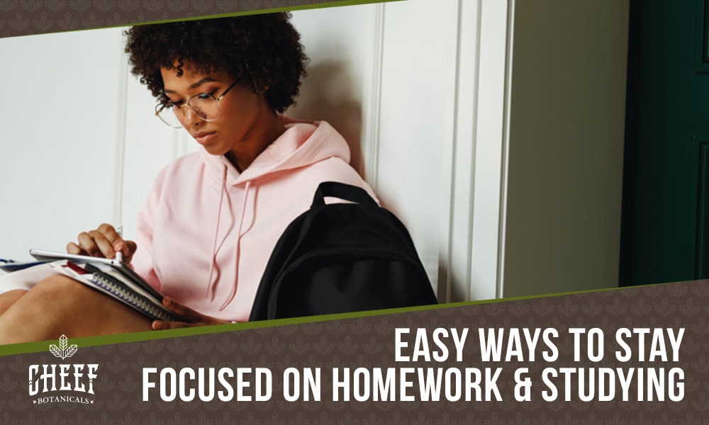 how to focus on homework