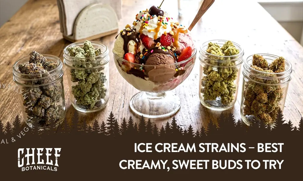 Ice Cream Strains (featured blog image by Cheef Botanicals) shows an ice cream sunday witth four opened mason jars of different cannabis buds/ different strains