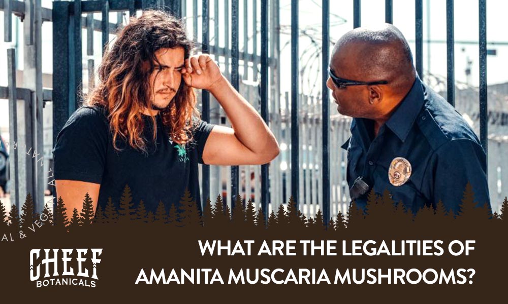 A police officer asking a suspect questions with the title "What are the legalities of amanita muscaria mushrooms".
