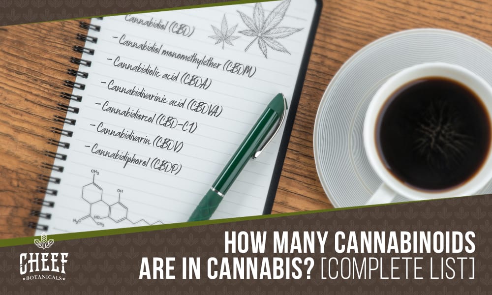 List of Cannabinoids featured blog image by Cheef Bortanicals. Shows a written list of cannabinoids on a notepad with a pen and cup of coffee nearby