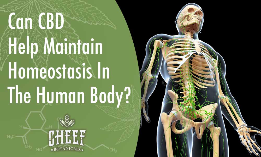 maintain homeostasis