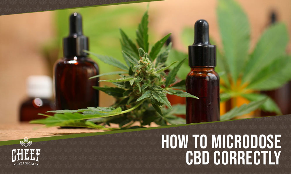 microdose CBD