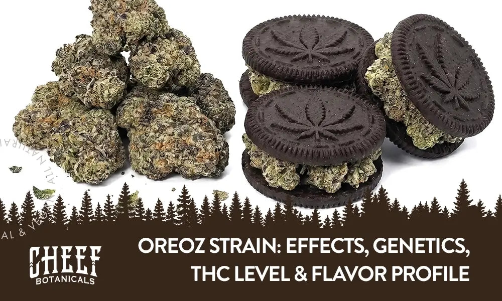 Oreoz Strain (featured blog image by Cheef Botanicals) shows a pile of Oreoz buds with some Oreo coockeis stuffed eith the strain instead of the cream.