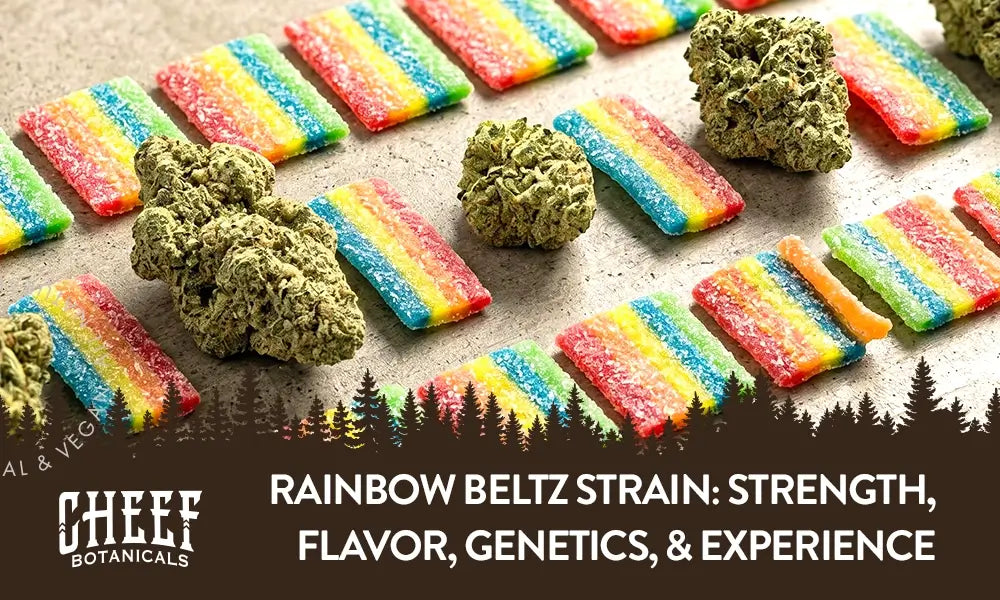 Rainbow Beltz Strain featured blog image by Cheef Botanicals. Shows Rainbow Belts bits in a diagonal parrern with some Rainbow Beltz buds in between the breaks of the parrern.