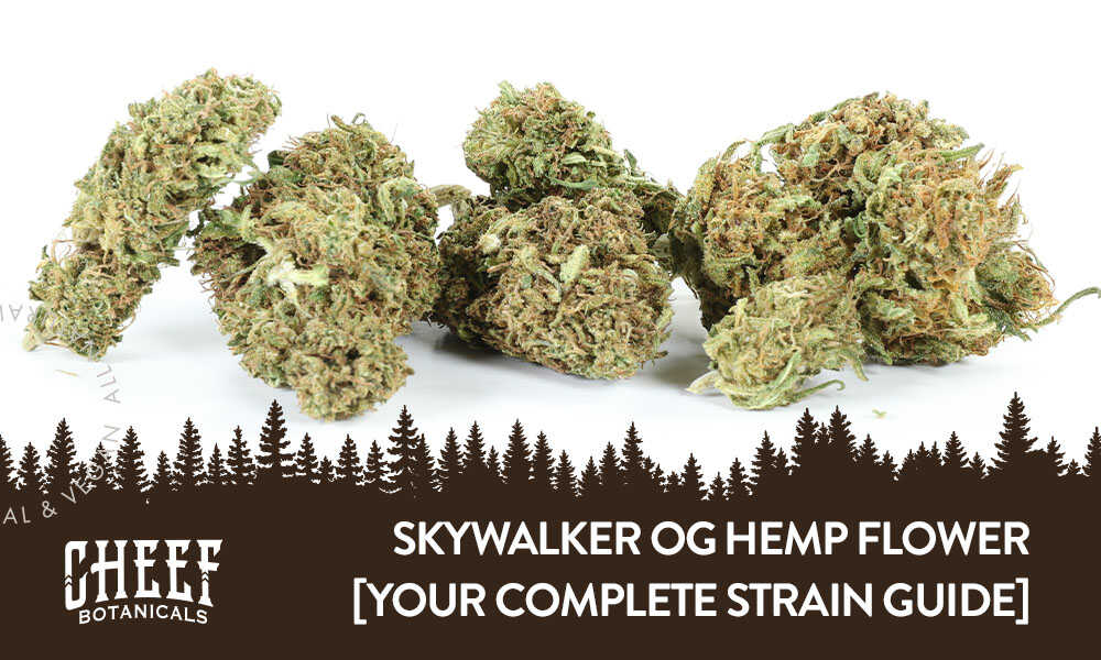 skywalker og skywalker strain