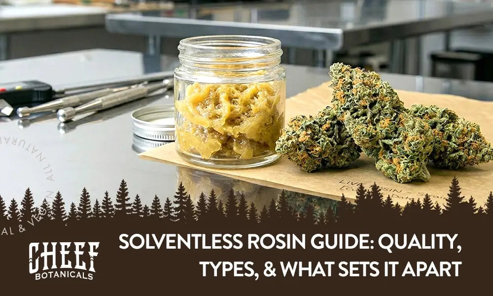Solventless Rosin featured blog image byCheef Botanicals. Show a small clear jar of cannabis rosin with some cured buds nearby.