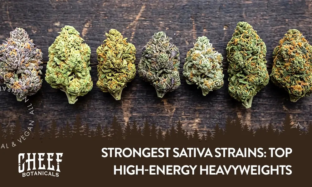 best sativa vape strains Top 18 Strongest “High-Energy Heavyweights” Ontempo-Style_70550 E-Cigarettes | Vaping with Flavor:CLASSIC TOBACCO