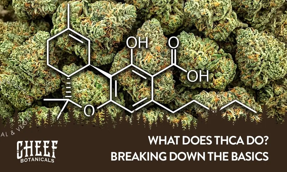 What does THCa Do (featured blog image by Cheef Botanicals). Shows the THCa molecule structure with cannabis buds in the background.