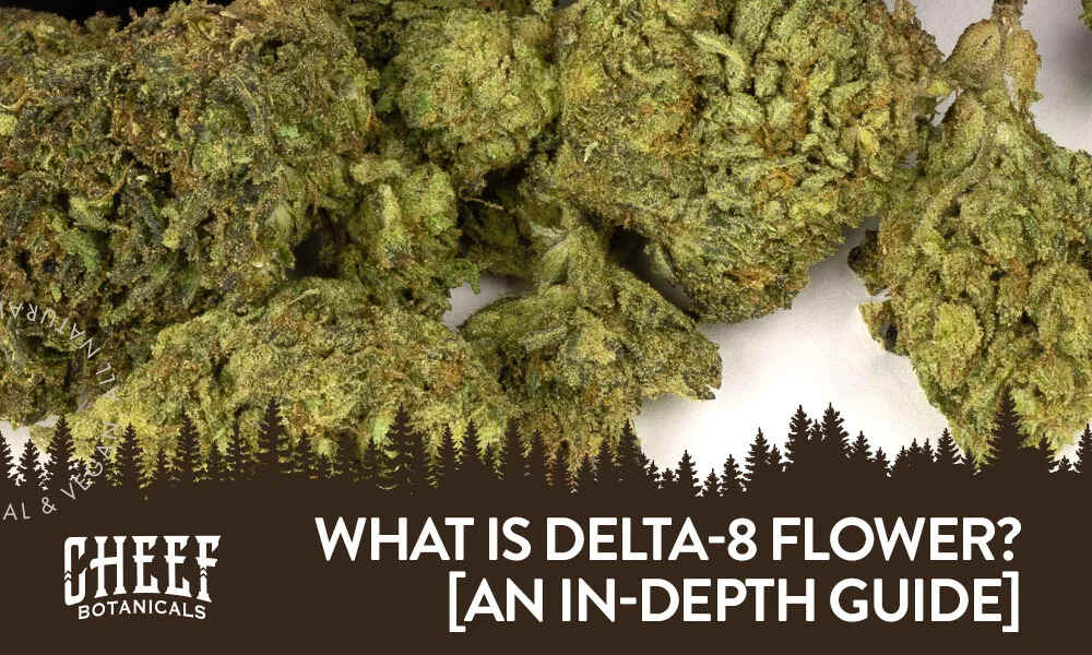 what is delta 8 flower (featured blog image by Cheef Botanicals) shows a bunch of Delta 8 flower buds