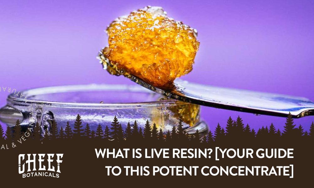 What Is Live Resin featured blog image by Cheef Botanicals. Shows a close up image of a dab of live resin concentrate being placed onto a quartz banger.