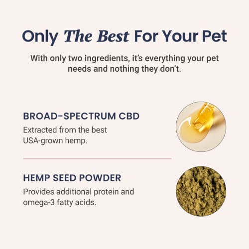 CBD Capsules for Dogs and Cats - HolistaPet