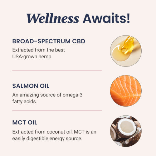 Salmon Flavored CBD Oil For Cats - HolistaPet