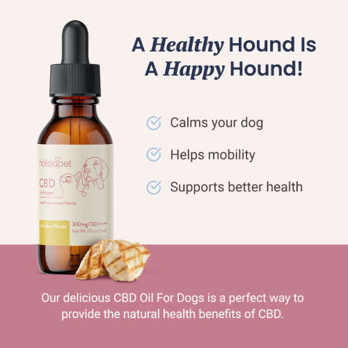 Chicken Flavored CBD Oil For Dogs - HolistaPet