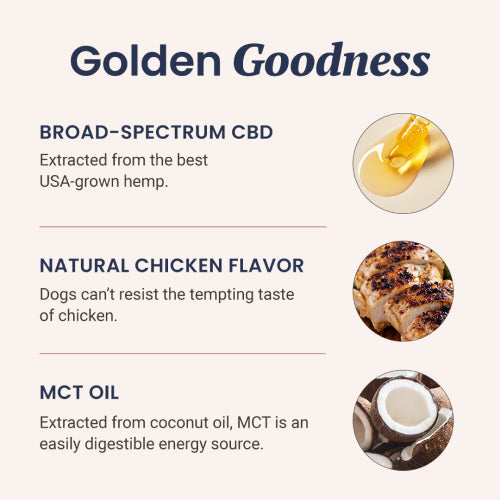 Chicken Flavored CBD Oil For Dogs - HolistaPet