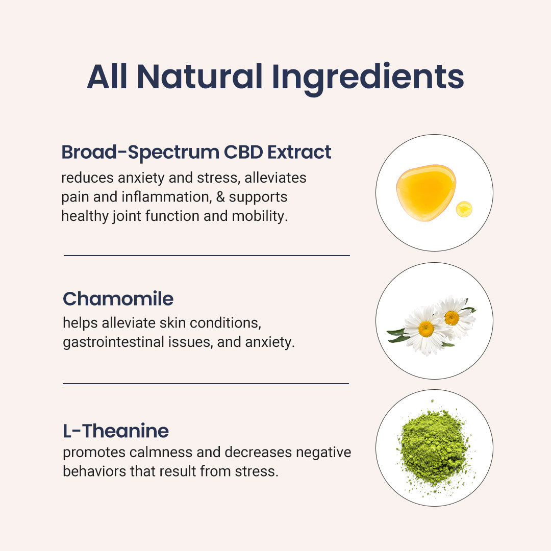 CBD Dog Treats for Anxiety - Holistapet