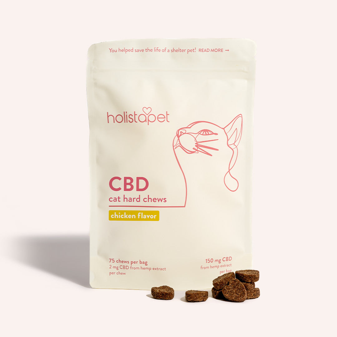 CBD Cat Treats - HolistaPet