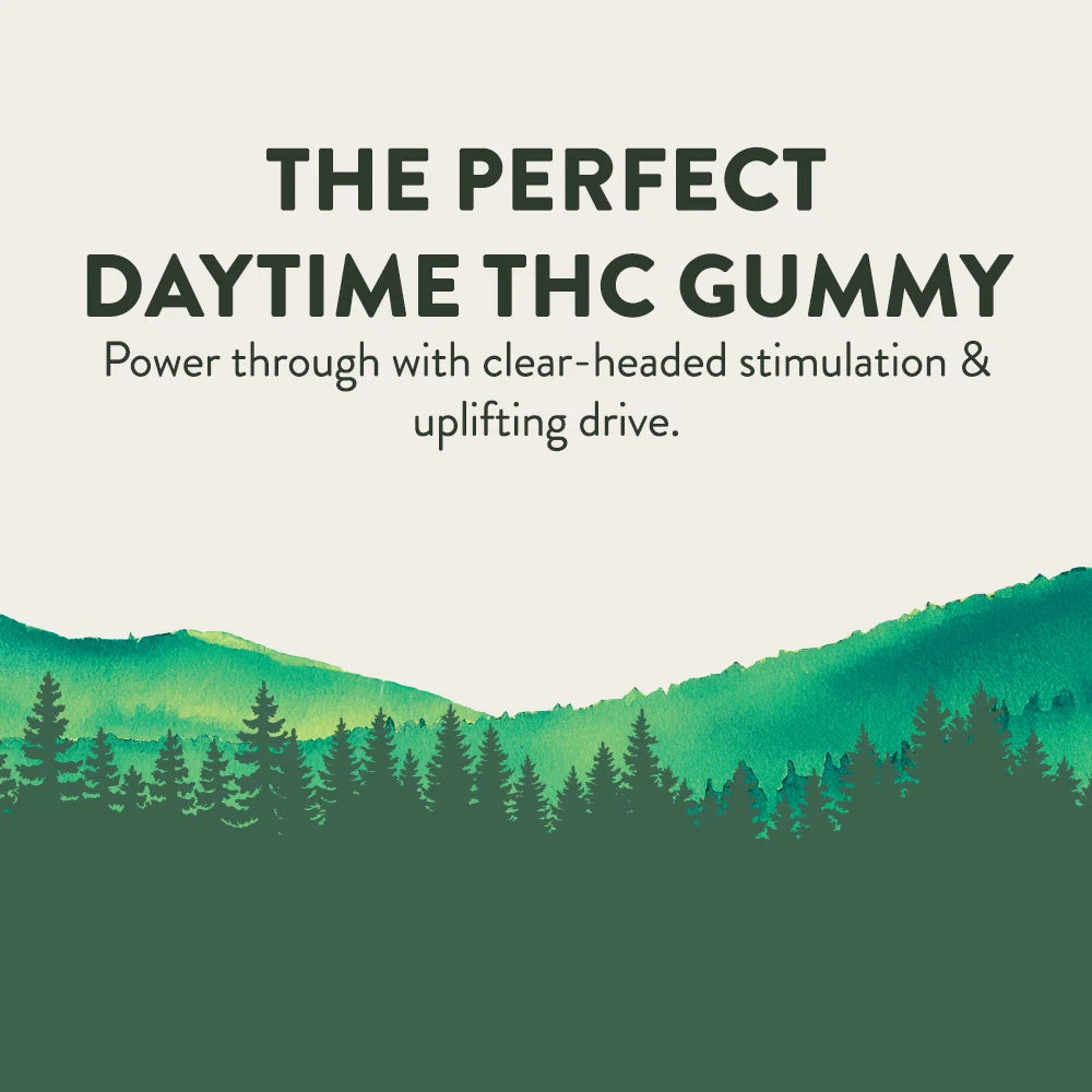 Delta 10 Gummy Cubes - Cheef Botanicals