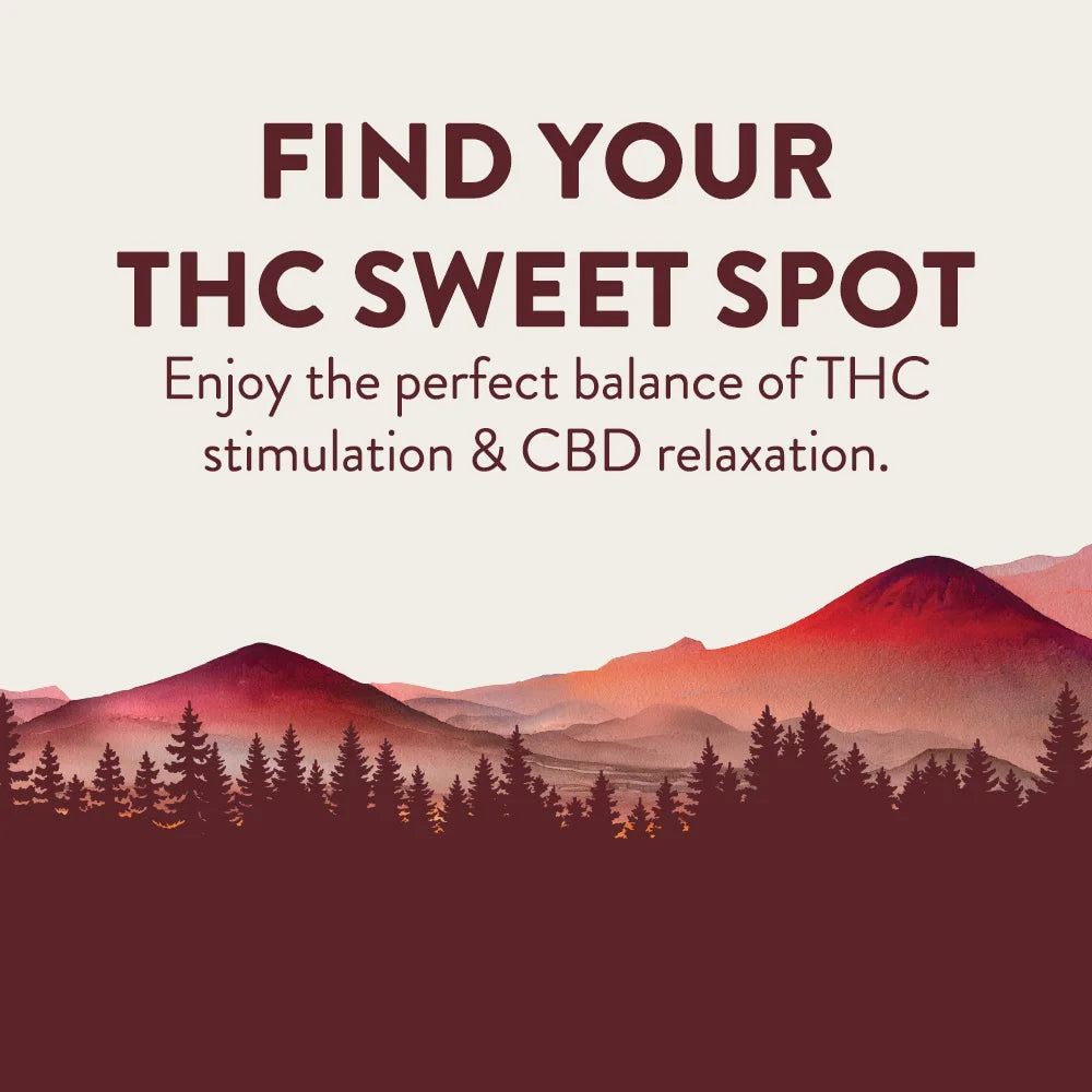 CBD + THC Gummy - Cheef Botanicals