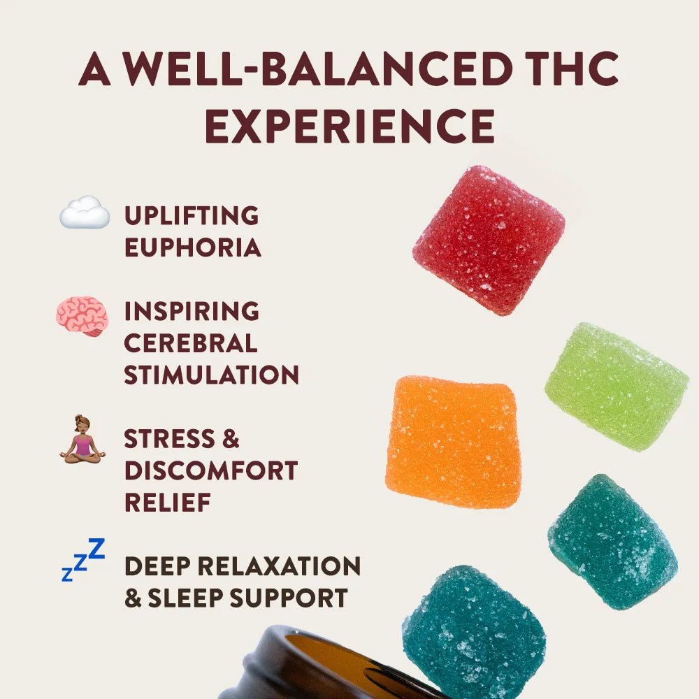 CBD + THC Gummy - Cheef Botanicals