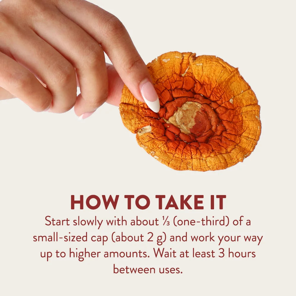 Amanita Dried Mushroom - Cheef Botanicals