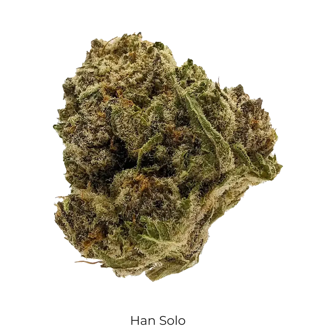 Han Solo THCa Flower - Cheef Botanicals
