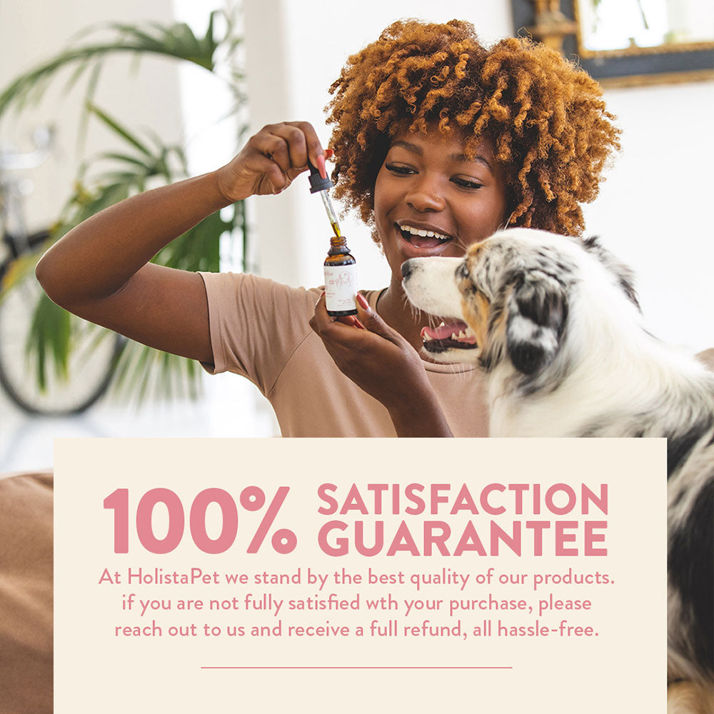 Chicken Flavored CBD Oil for Cats - HolistaPet