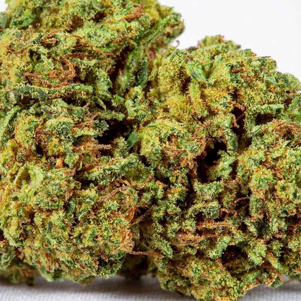 CBD Flower Pre Rolls lifter closeup