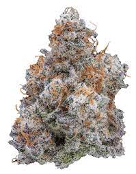 MAC 1 Seeds CBM-FEMinized - Fly High Seeds