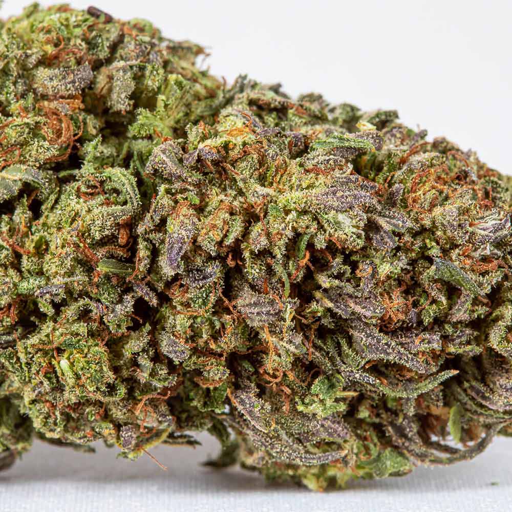 CBD Flower Pre Rolls Northern Lights Closeup