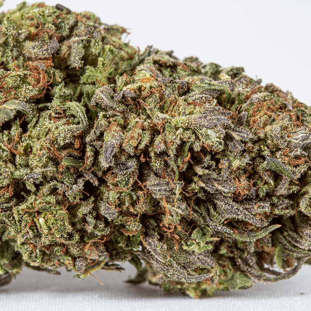 Northern Lights Large CBD Flower Closeup