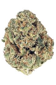 OG Kush Seeds CBM-FEMinized - Fly High Seeds