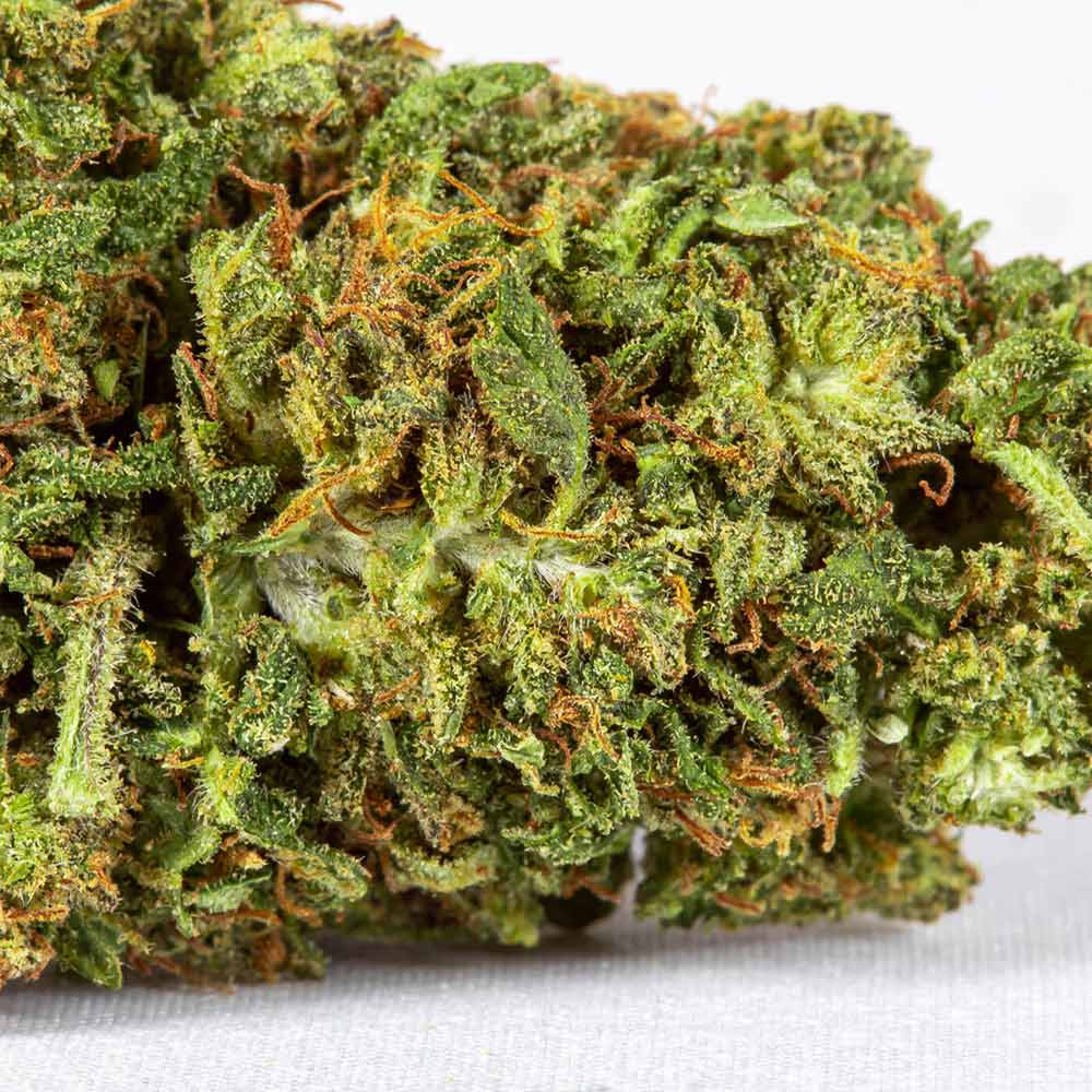 CBD Flower Pre Rolls Sour Diesel closeup