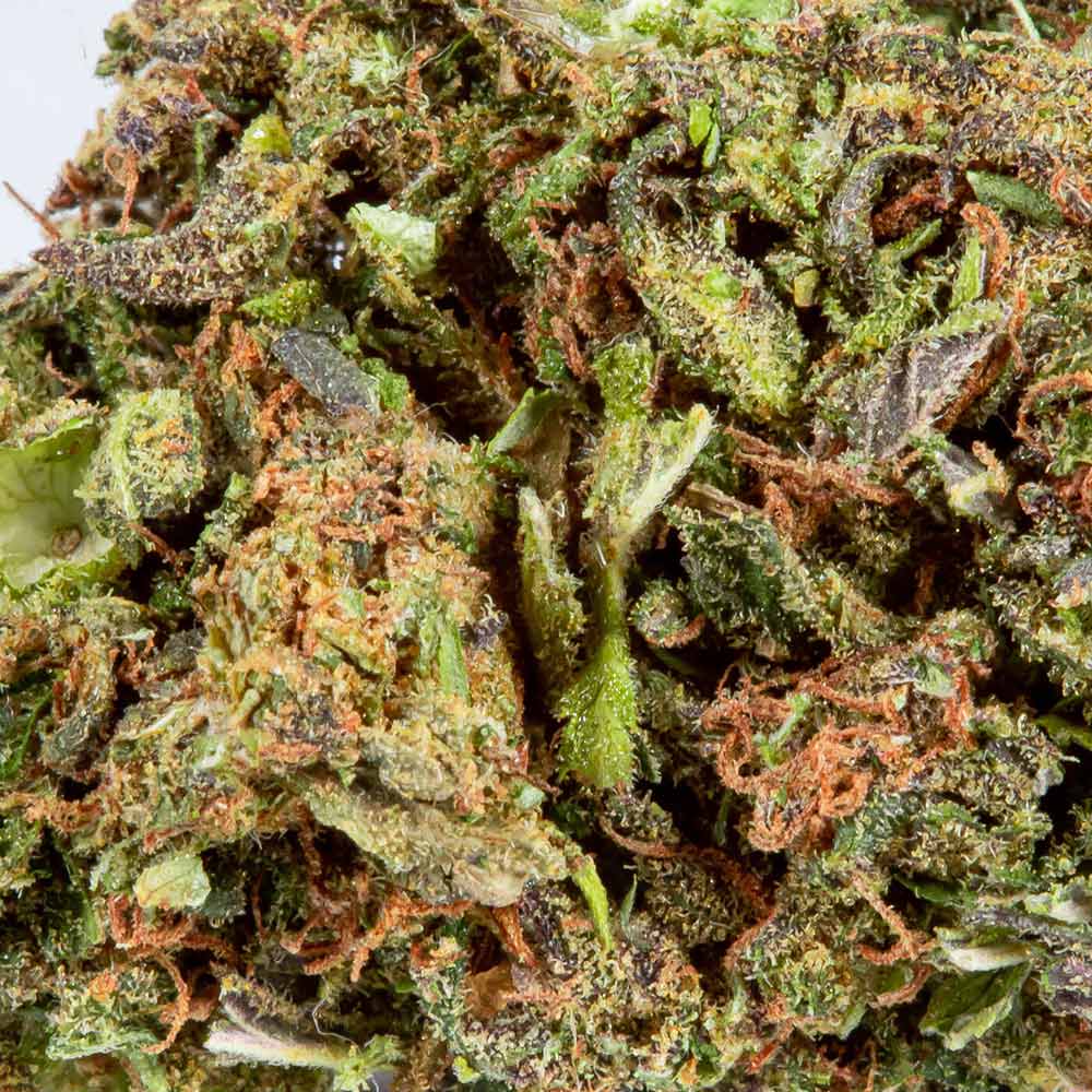 CBD Flower Pre Rolls sour space candy closeup