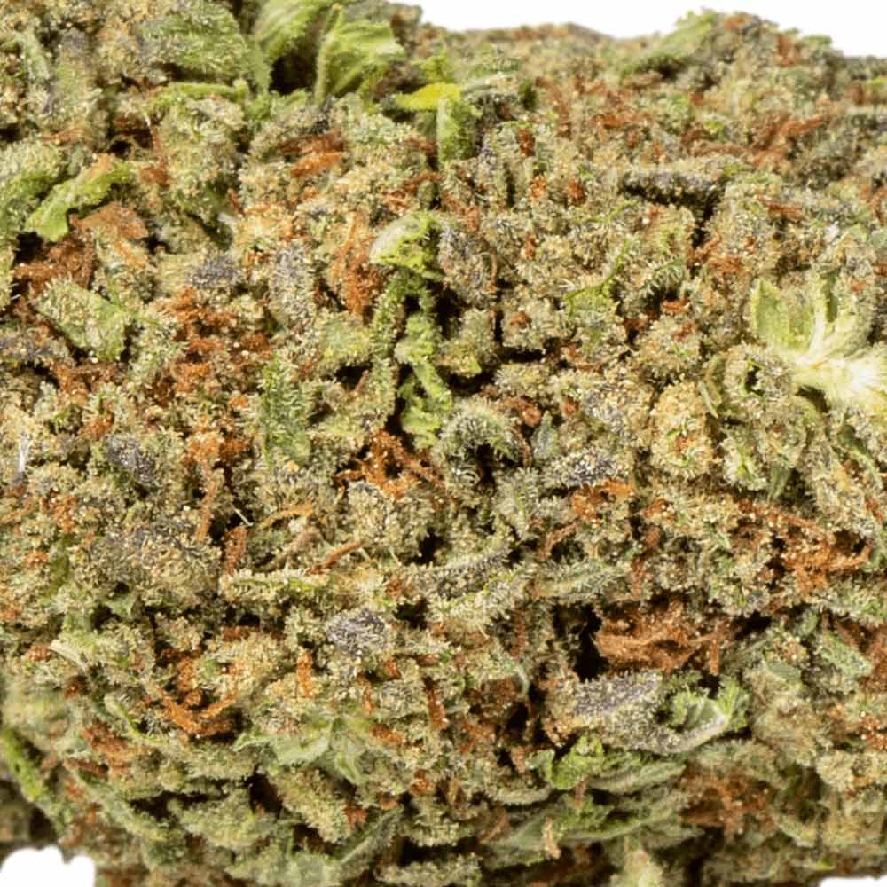 CBD Flower Pre Rolls Cookies Close up