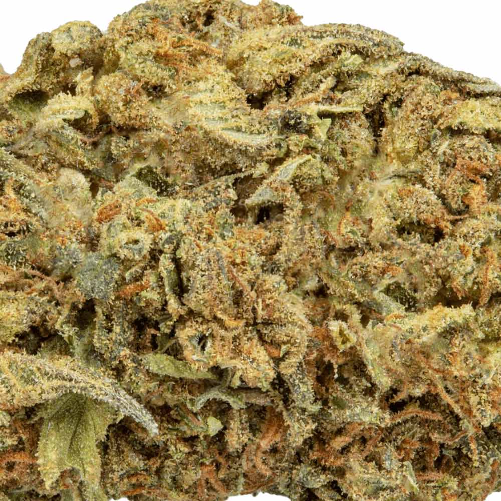 CBD Flower Pre Rolls Gorilla Glue Closeup