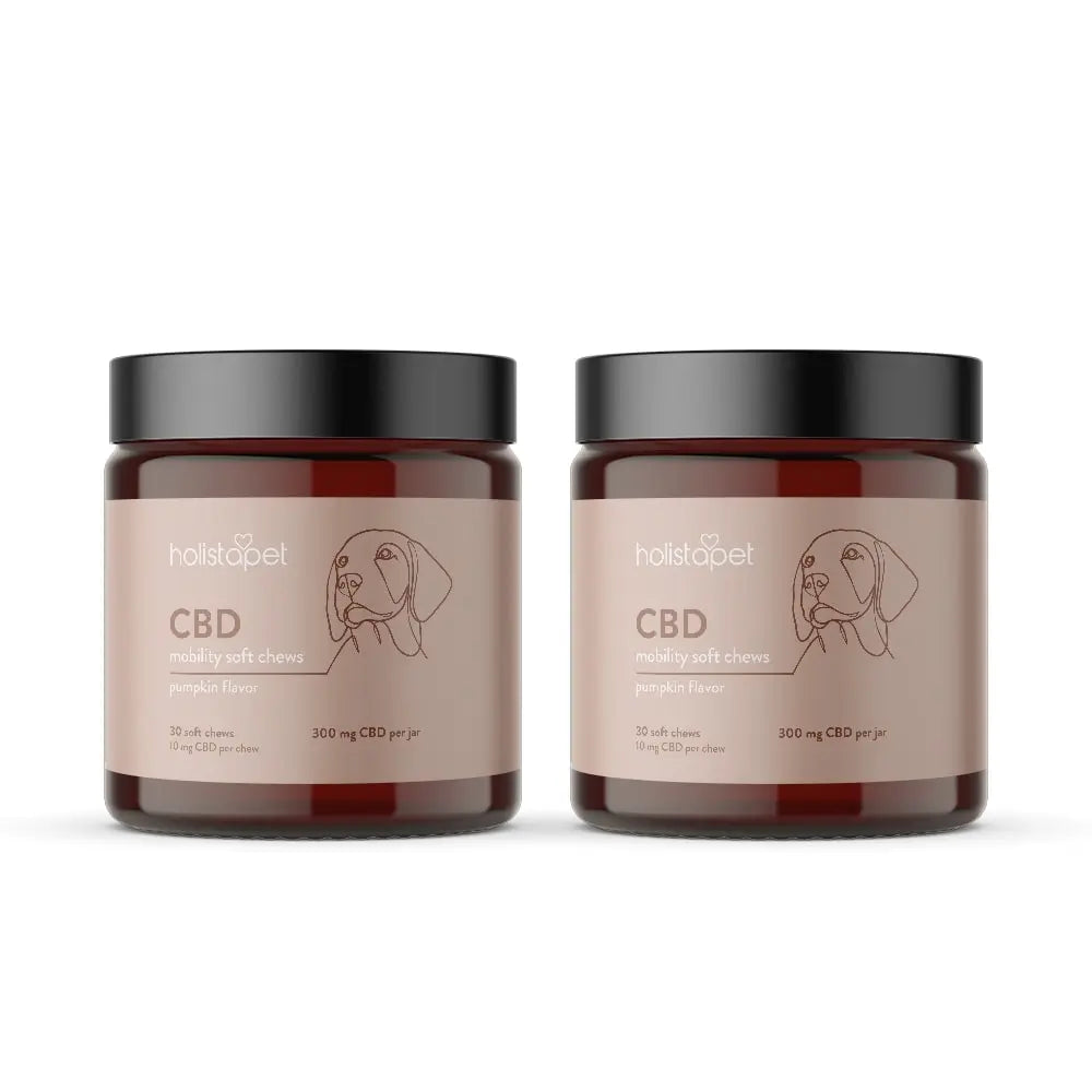 CBD Mobility Chews for Dogs - HolistaPet