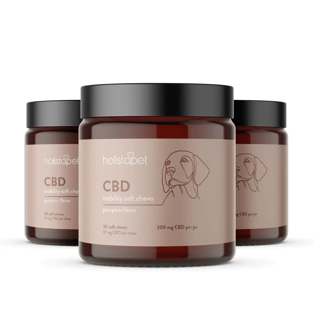 CBD Mobility Chews for Dogs - HolistaPet