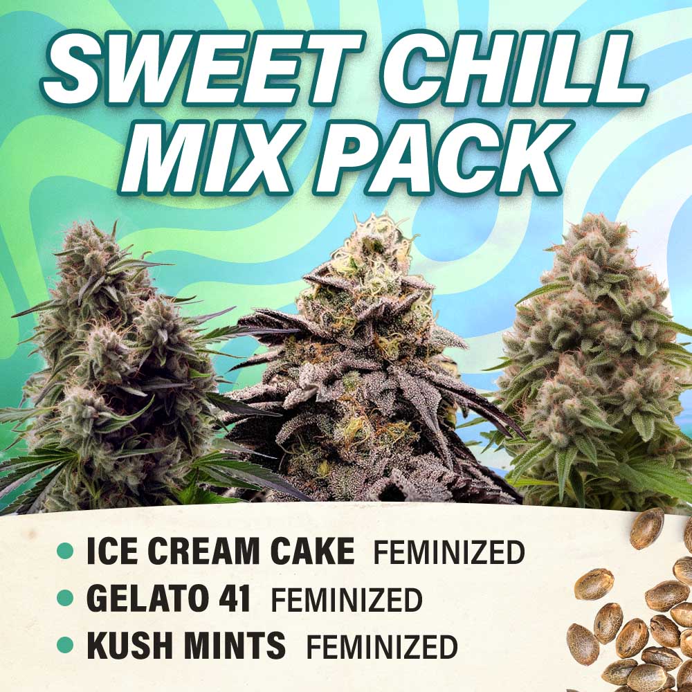 Sweet Chill Mix Pack Feminized