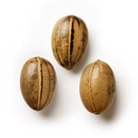 Baking Mix Pack - Feminized - Fly High Seeds